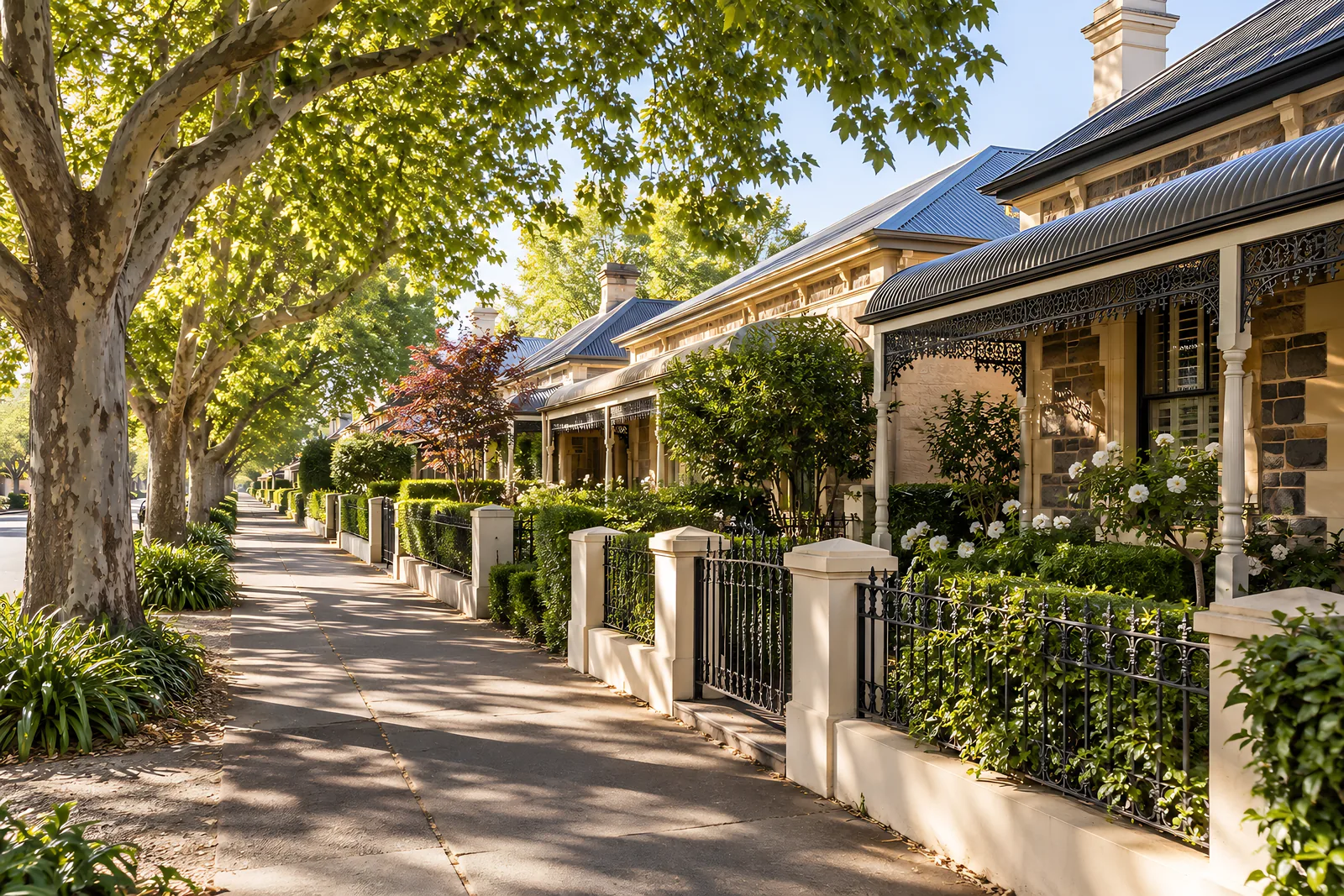 Leafy Adelaide suburban street lined with stone villas and verandas